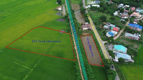 Land for sale Chaiyaphum ขายที่ดินชัยภูมิ มี 2 แปลง สามารถถมดิน ทำบ้าน ทำธุรกิจค้าขายได้ โทร 061-1195112 1