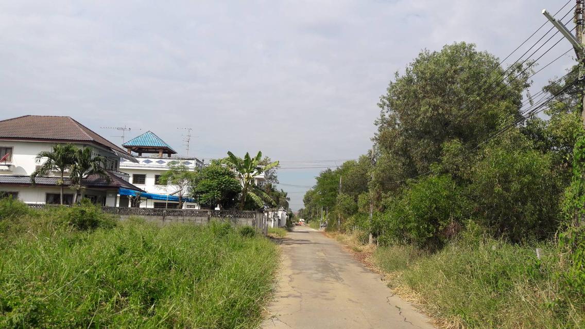 ที่ดิน ทรงสวย ขนาดพอดี สร้างบ้าน อาคารสำนักงาน อยู่ถนนเพิ่มสิน เข้าซอยแค่ 250 เมตร  6