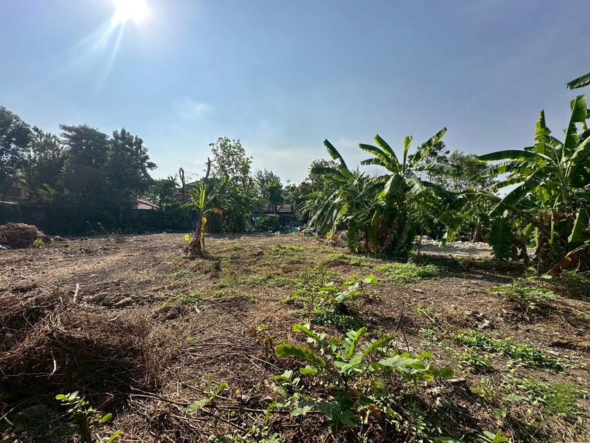 ที่ดินเปล่า 353 ตร.ว. แปลงสวย ถนนแบริ่ง - ลาชาล (ซอย แบริ่งตัดใหม่ 7) ใกล้BTS แบริ่ง 3