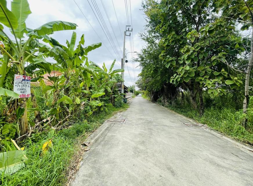 ขายที่ดินถนนเทพารักษ์ ซอยกู้พาราฝั่งใต้ 4