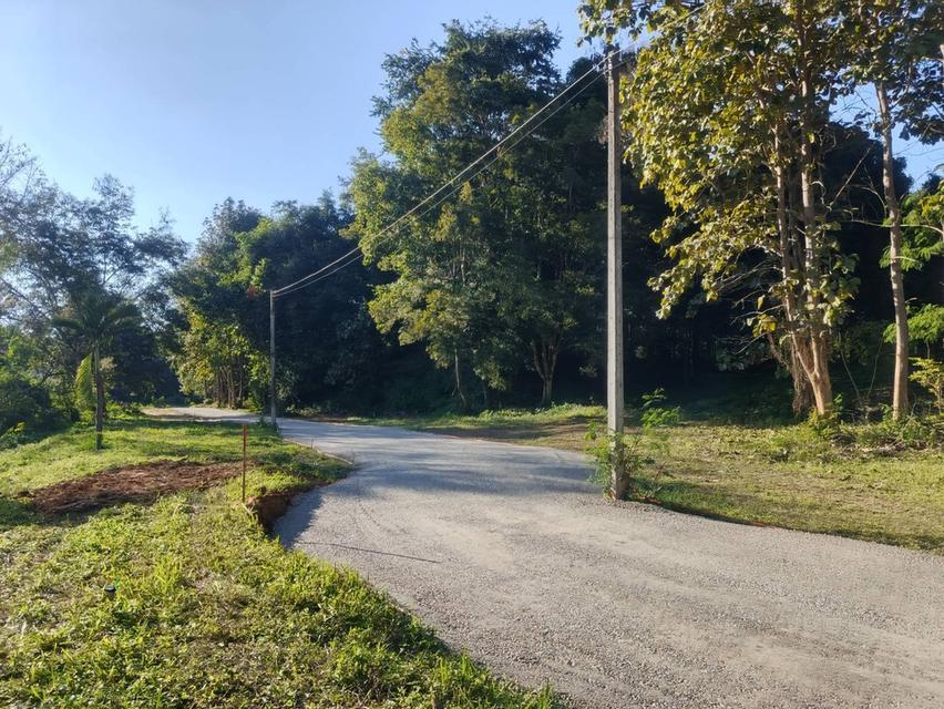 ขายที่ดิน ต.บ้านปง อ.หางดง จ.เชียงใหม่ พื้นที่ 416 ตรว ตรว 3.7ล้าน 1