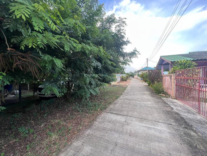 ขายที่ดิน ที่สวย ในชุมชน น้ำไม่ท่วม ต.ทองเอน อ.อินทร์บุรี จ.สิงห์บุรี โอนฟรี 5