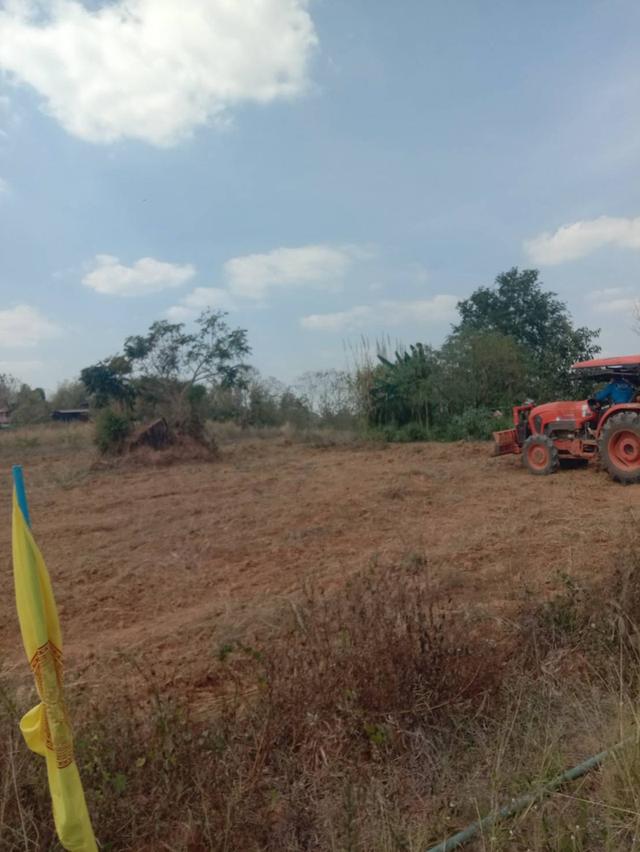 ที่ดินเปล่า มีหลายไร่ แบ่งขาย 1 ไร่ 6 แสน บ้านศิลางาม  วังน้ำเขียว รูปย่อยที่ 5