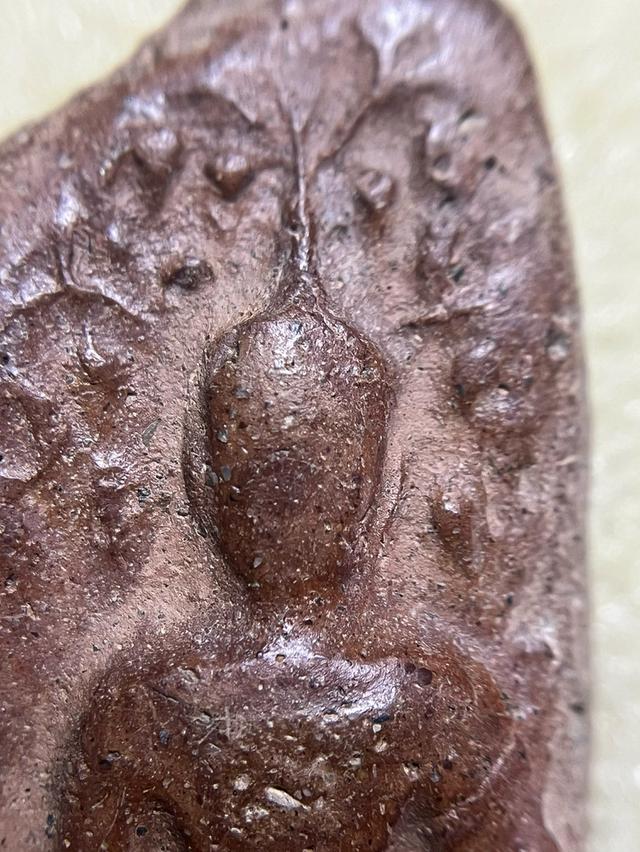 พระยอดขุนพล พิมพ์ปรกโพธิ์ 5