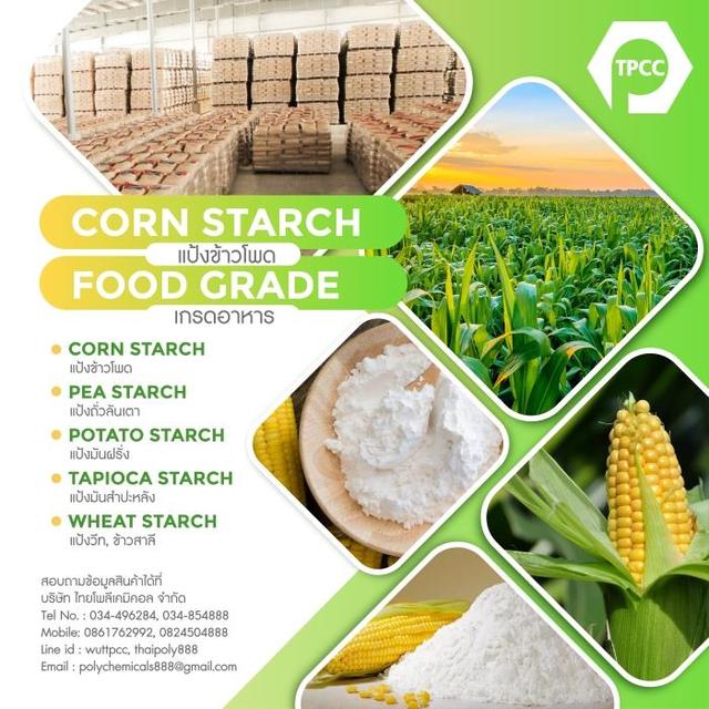 แป้งข้าวโพด, Cornstarch, คอร์นสตาร์ช, Corn starch, แป้งข้าวโพดไทย, ไทยแลนด์คอร์นสตาร์ช, แป้งข้าวโพดจีน, แป้งข้าวโพดอินเดีย 1