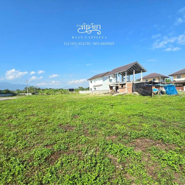 ขายที่ดินเปล่า ในโครงการบ้านคัทลียา สันทราย  เชียงใหม่ 3