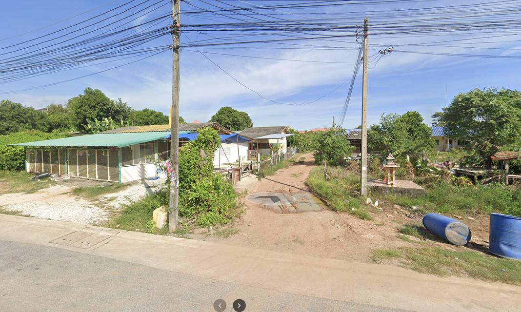 ขายที่ดินผังสีแดง ใจกลางเมืองระยอง ใกล้เซ็นทรัลเพียง 2 นาที! ทำเลทอง เหมาะสร้างคอนโด/โรงแรม 2