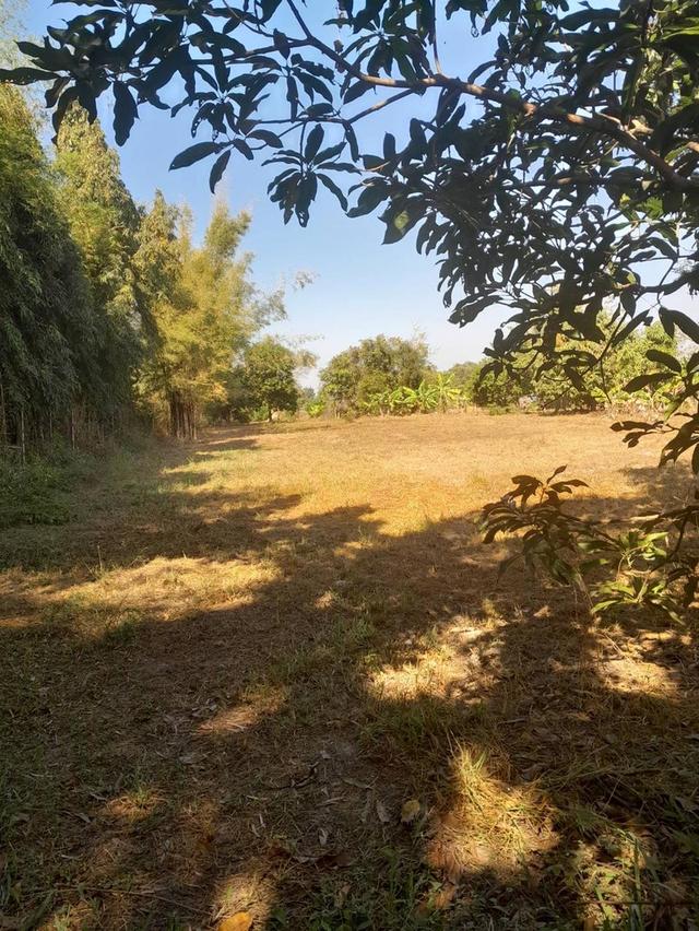 ที่ดินพร้อมบ้านนครนายก 3