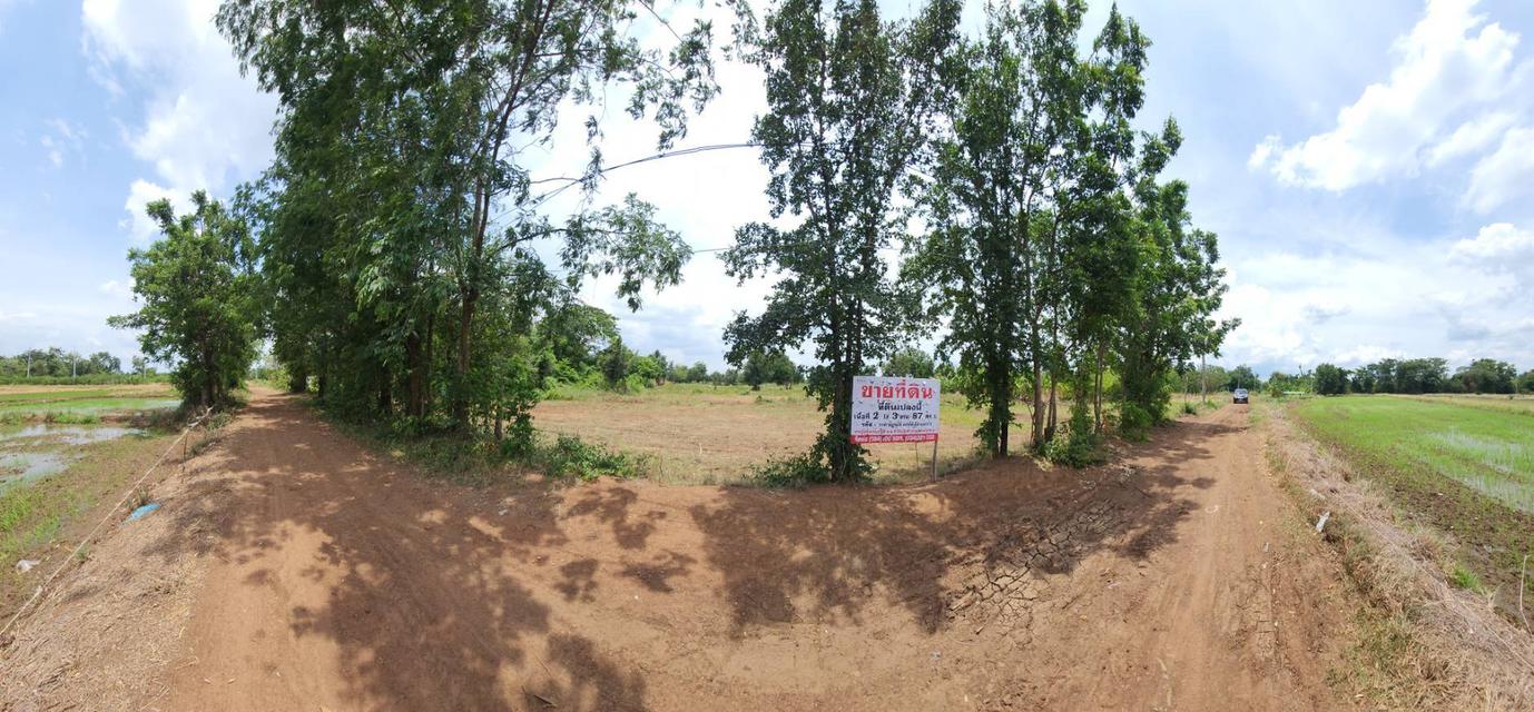 ขายที่ดินใกล้เขื่อนป่าสัก ต.โคกสลุง อ.พัฒนานิคม จ.ลพบุรี 1