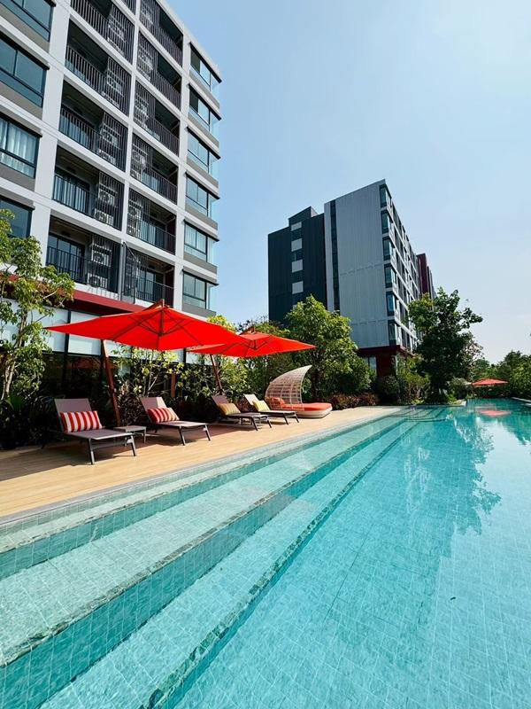ขายคอนโด ใหม่ dcondo Vivid Rangsit ตรงข้าม ม.กรุงเทพ ข้ามสะพานลอยก็ถึงมหาลัย พร้อมอยู่ โทร 0616161426 4