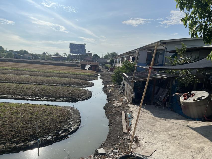 ขายที่ดินติดถนนบ้านกล้วยไทรน้อย ขนาด 10 ไร่ บางบัวทอง นนทบุรี 5
