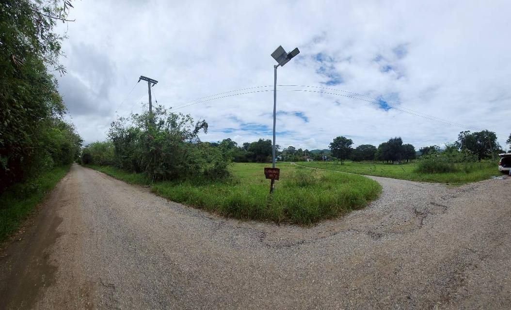 ขายที่ดินหลังสถานีรถไฟความเร็วสูงปากช่อง   บ.เขาเสด็จ / ท่างอย  | ใกล้ริมน้ำ & วิวเขา ( น.ส.3ก ) ราคาพิเศษ!! 10