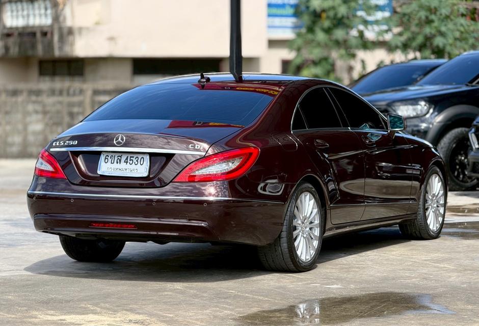 2012 BENZ CLS-CLASS, 250 14