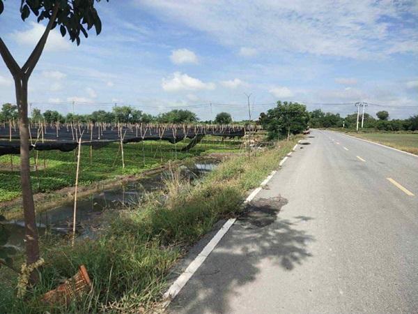 ขายที่ดิน 4 ไร่ 135 ตารางวา อ.ไทรน้อย จ.นนทบุรี หน้ากว้างติดถนนตัดใหม่ บรรยากาศดี โทร 065-365-4426