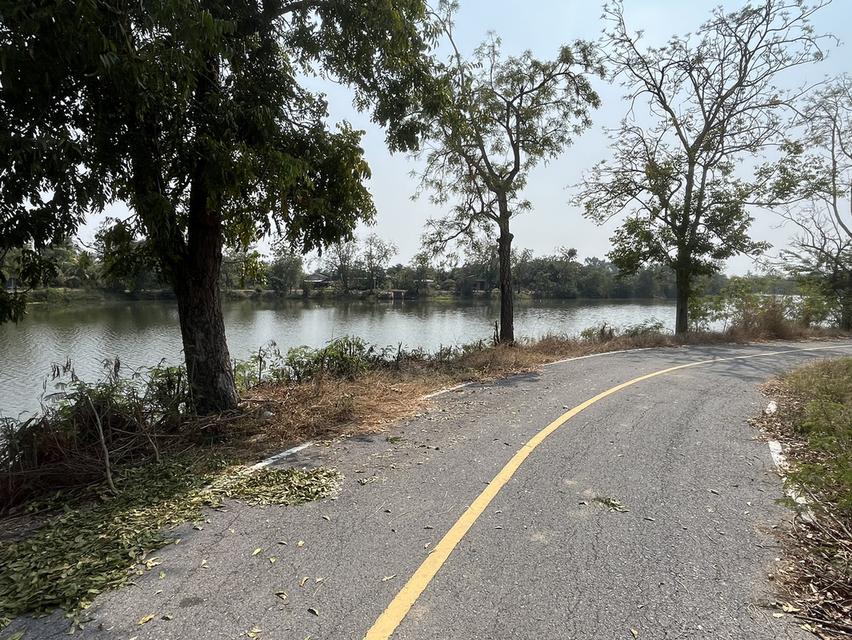 ✨ขายที่นา ทำเลทอง 10 ไร่ ติดถนนใหญ่ + คลองชลประทาน – ต.ย่านยาว อ.สามชุก จ.สุพรรณบุรี✨ 3