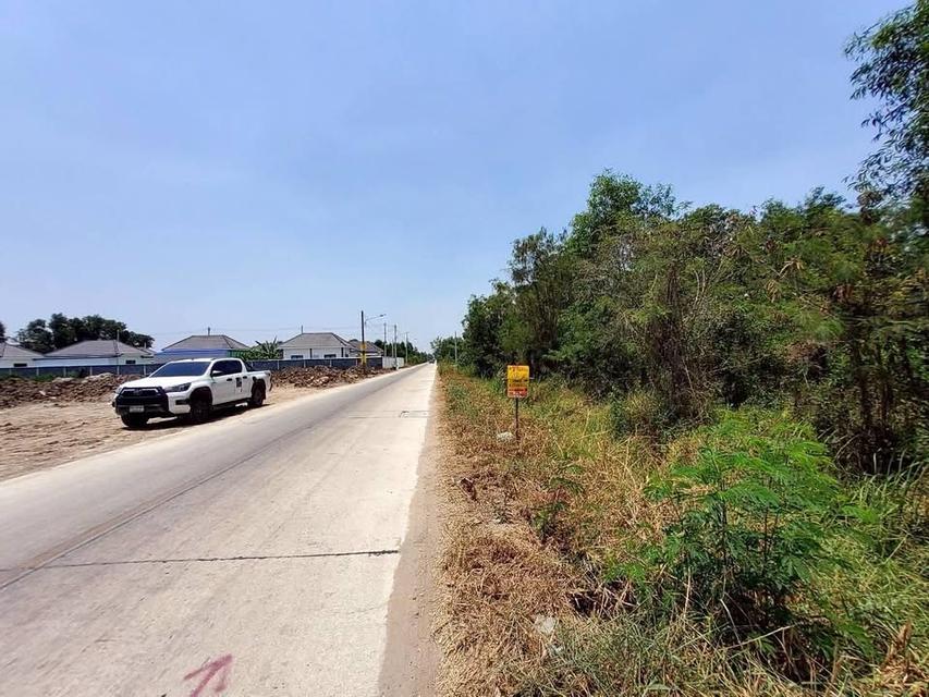 ขายด่วนที่ดิน 200 ตารางวา ติดถนนคอนกรีต ซอย คลองสี่ตะวันออก 56 คลองหลวง ปทุมธานี 5