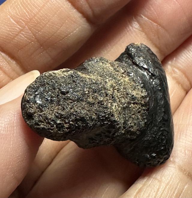 พระปิดตาเนื้อผงคลุกรัก เก่า(ได้มาสภาพเดิมคามภาพ) รูปที่ 5