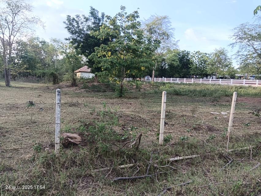 ขายที่ดินเปล่า
