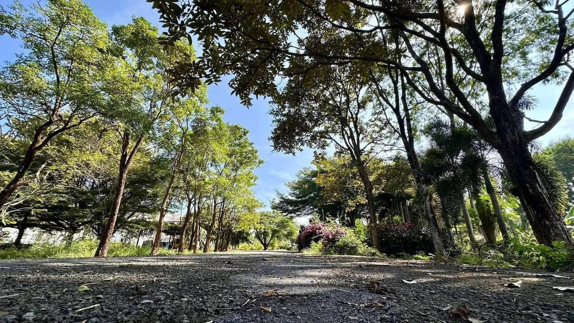 พูลวิลล่าหรู เขาใหญ่ อาณาจักรสุดพรีเมียม รูปที่ 6