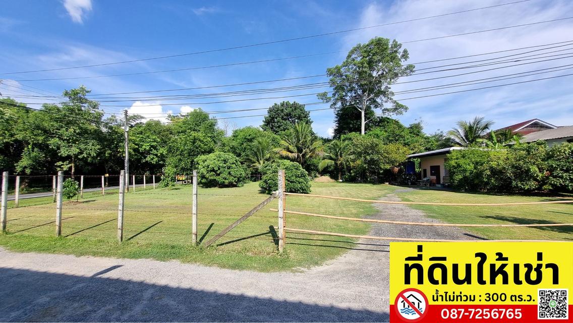 ปล่อยเช่าที่ดินทำเลทอง 300 ตร.ว. เมืองเชียงใหม่