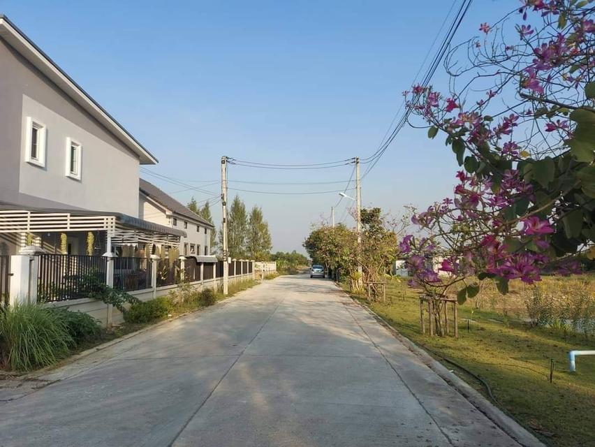 บ้านเดี่ยวศาลายา-คลองโยง(บ้านใหม่) 11
