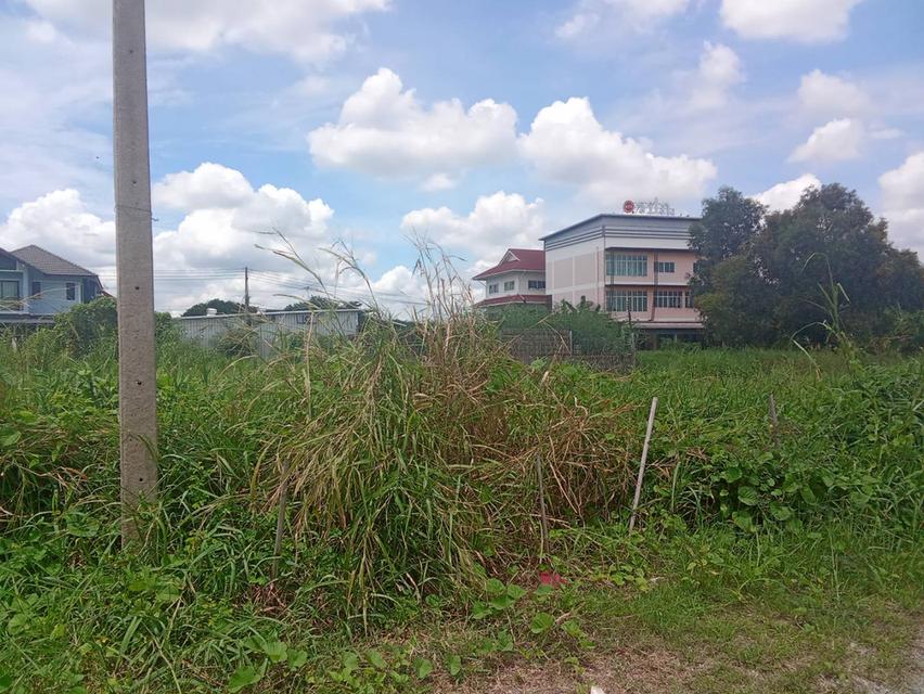 ขายที่ดิน ทำเลดี 102 ตร.ว. ต.ศาลายา อ.พุทธมณฑล จ.นครปฐม 6