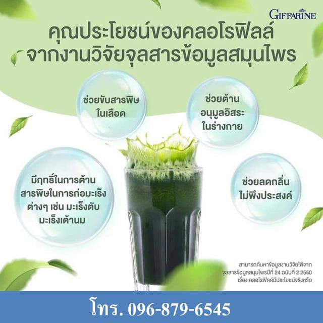 คลอโรฟิลล์ ซี-โอ ชนิดชงดื่ม 4