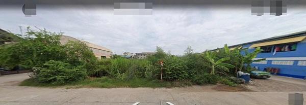 ขายที่ดินสวย พร้อมโอน เมืองสมุทรสาคร เนื้อที่ 173 ตรว. น้ำไฟผ่าน ถนนคอนกรีต โทร 0807856572 1