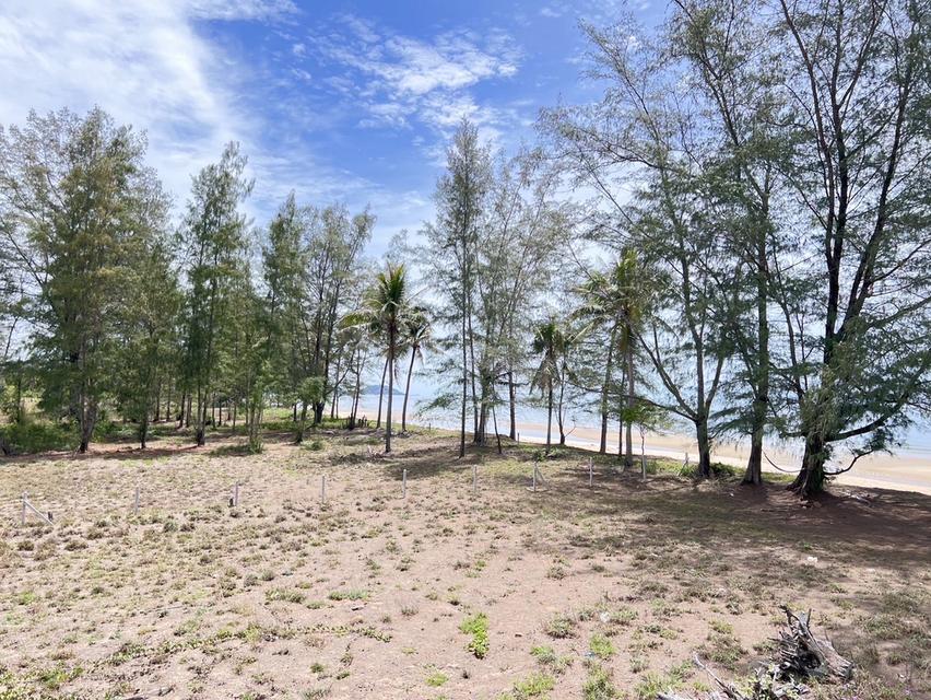 ขายที่ดินติดทะเล หาดบ้านกรูด 2