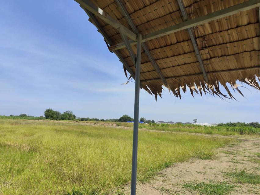 Sale Nice Land 5 Rais Nakhon Pathom suitable for residence and Projects 10