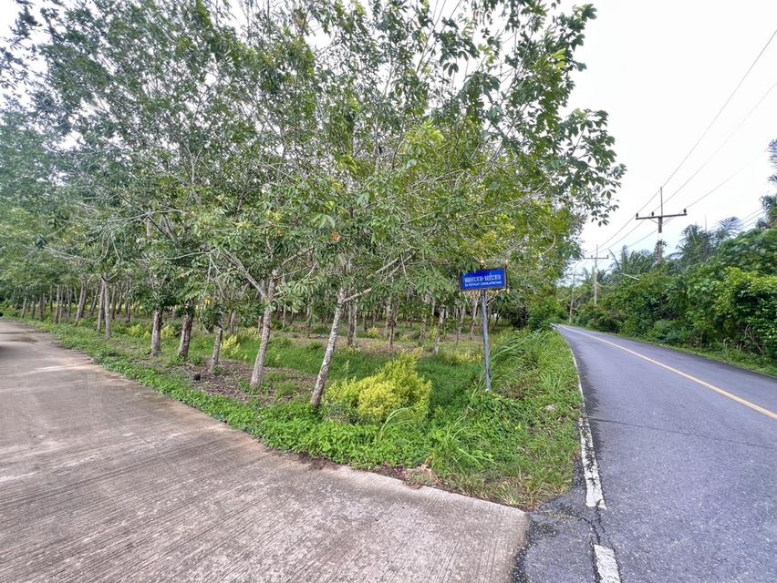 ขายที่ดิน จังหวัดนครศรีธรรมราช 7