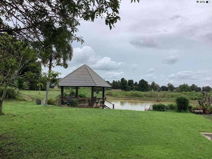 ขายบ้านโดยเจ้าของขายเอง บนที่ดิน 6 ไร่ที่เงียบสงบ วิวสวย พร้อมบ้าน 2 หลัง อยู่ใกล้อ่างเก็บน้ำลำแลาค่าว มีศาลาพักผ่อนและน้ำตก พร้อมสวนผลไม้หลากหลายชนิด 3