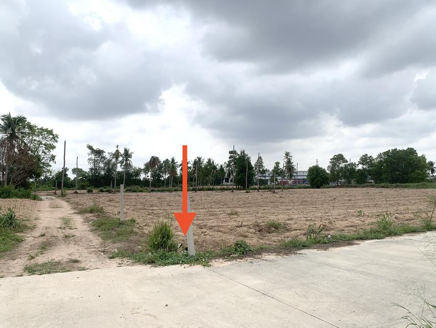 ขายที่ดินศรีราชาพื้นที่สีม่วง เนื้อที่ 35-3-71ไร่ + 8ไร่(พื้นที่สีม่วง) 1