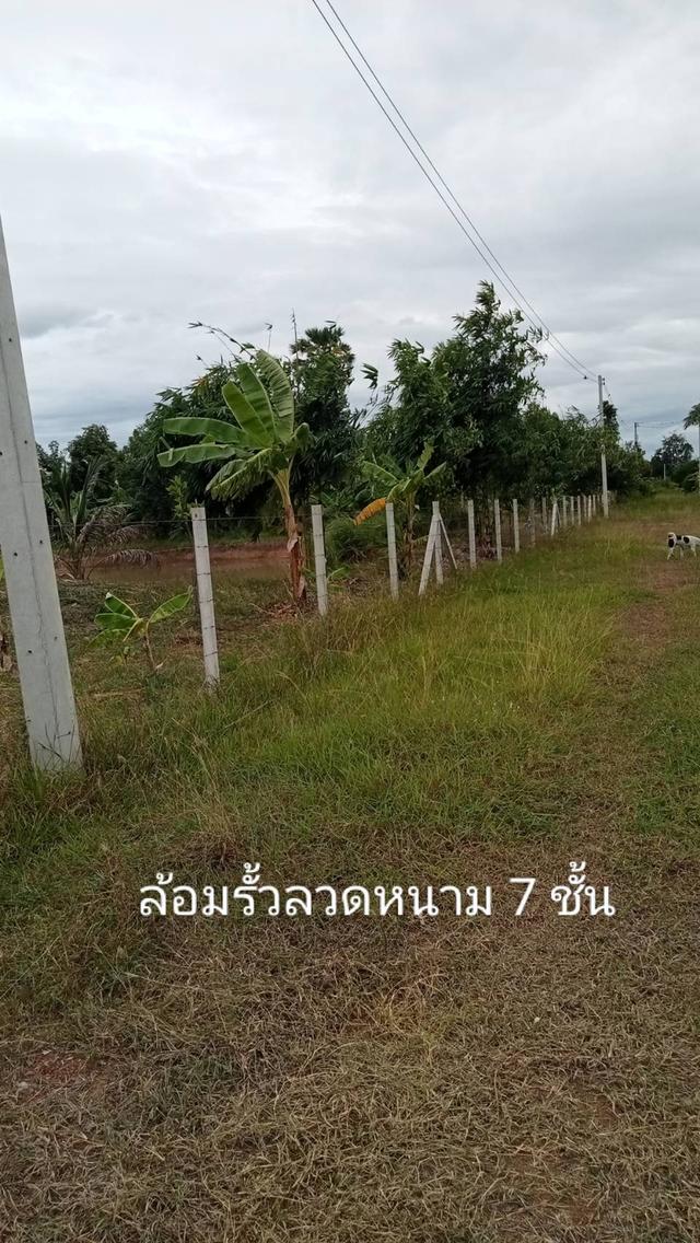 บ้านพร้อมที่ดิน อำเภอเลาขวัญ จังหวัดกาญจนบุรี 5