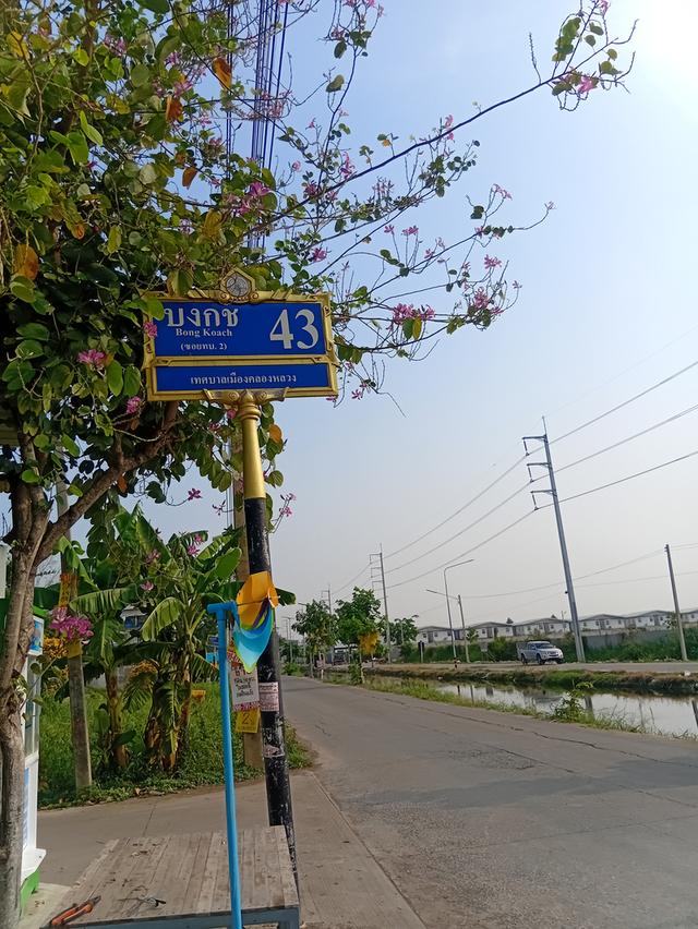 ที่ดิน 15