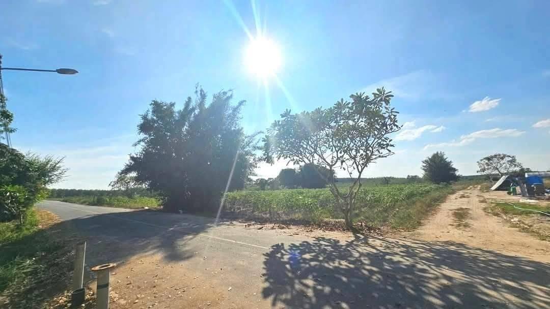ขายที่ดิน 13 ไร่ ปลวกแดง จ.ระยอง เหมาะลงทุนปลูกบ้านขาย ระแวกนี้เป็นหมู่บ้านแล้วหลายโครงการ ทำเลดีมาก 2
