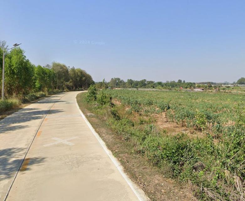 ขายที่ดินบ่อกวางทอง 81 ไร่ ติดถนน2ด้าน ใกล้ถนนเส้น3340-2กม. อ.บ่อทอง จ.ชลบุรี 4