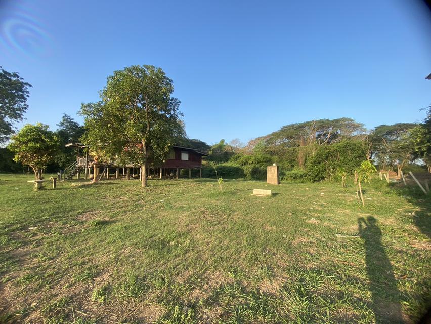 ที่ดินผืนงามริมแม่น้ำเจ้าพระยา – อัญมณีแห่งบางปะอิน 5