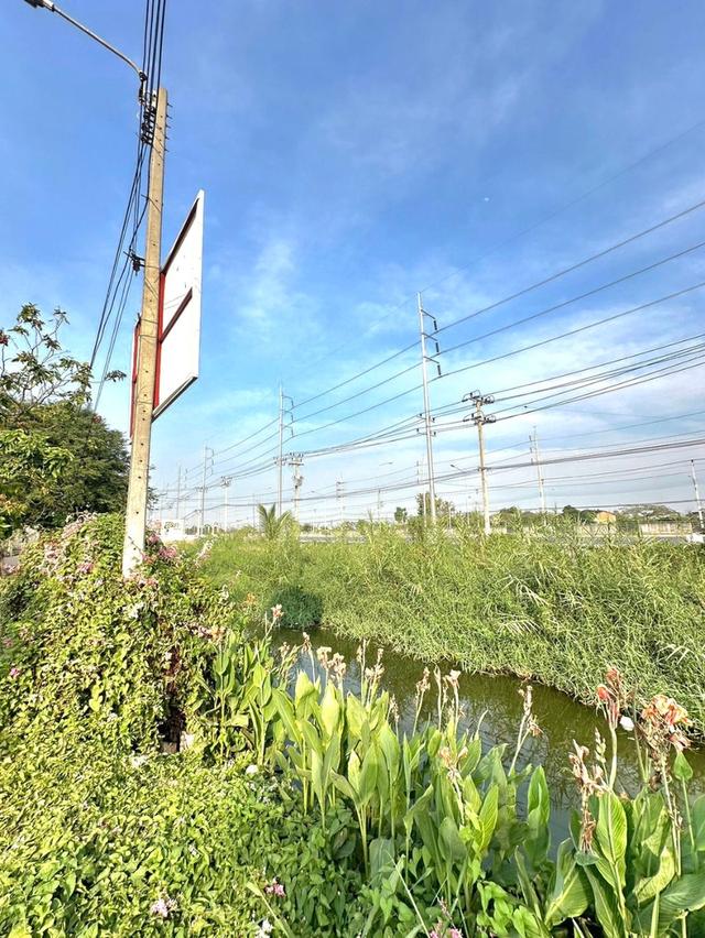 ขายที่ดิน  8