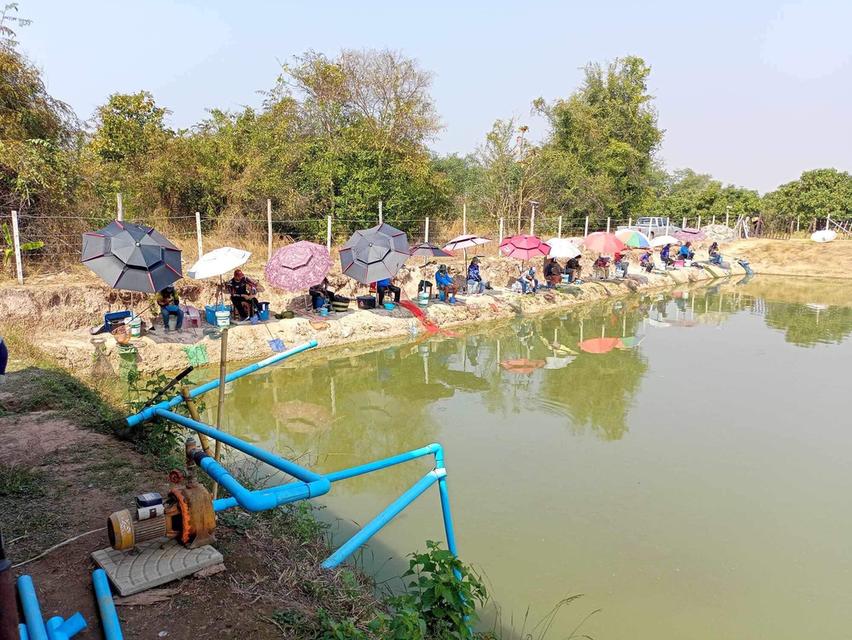 ขายที่ดินลำพูน พร้อมกิจการตกปลา⛱️