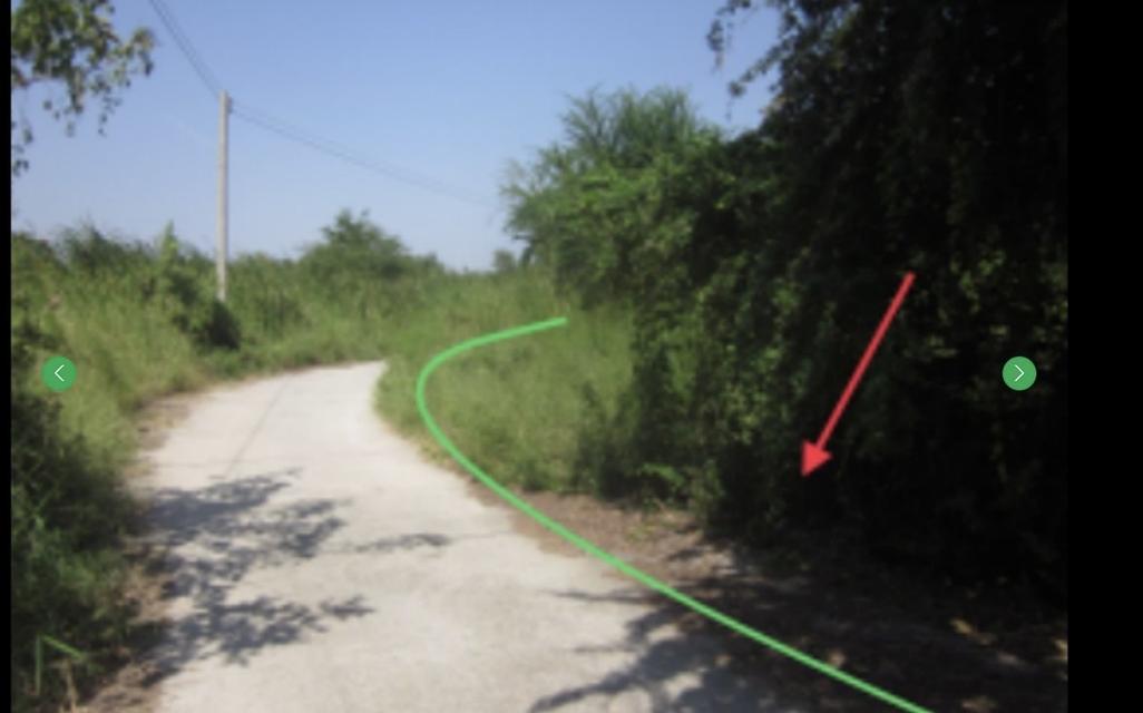 ขายที่ดินเปล่า 7 ไร่ 96 ตรว. เจ้าของขายเอง นิคมอุตสาหกรรมแห่งใหม่นิคม บลูไฮเทค พานทองชลบุรี  9