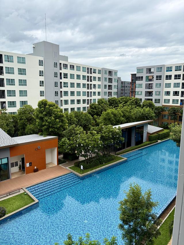 ปล่อยเช่าคอนโด D Condo Nim (ดีคอนโด นิม) เชียงใหม่ 1