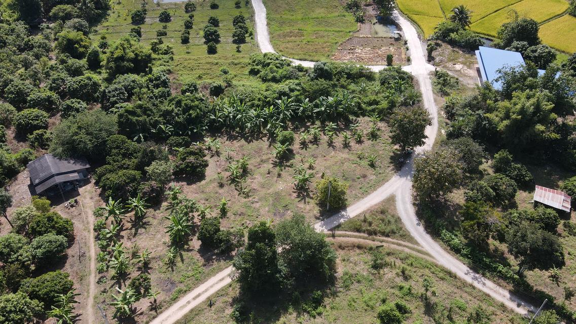 🌳ขายที่ดินเจ้าของขายเอง ด่วน📌 16