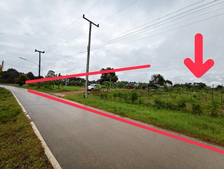 ที่ดินแปลงใหญ่ 16 ไร่ ถมแล้ว ติดถนนลาดยาง สระแก้ว 7