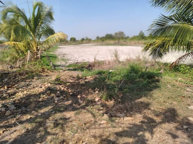 ขายที่ดินทำเลสร้างโกดัง โซนนิคมเอเชียสุวรรณภูมิ – บางบ่อ สมุทรปราการ เนื้อที่ 2 ไร่ ขายไร่ละ 2.5 ล้าน อ.บางบ่อ สมุทรปราการ 7