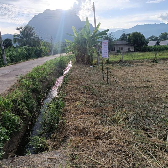ที่ดินวิวดอยหลวง อ.เชียงดาว จ.เชียงใหม่ 2