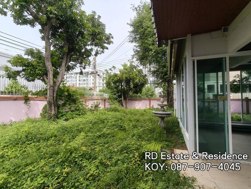 ขายบ้านเดี่ยวสุขุมวิท64 ที่ดิน131ตร.ว ใกล้ BTSปุณณวิถี 650ม. ใกล้ร้านอาหาร เซเว่น ทางด่วนสุขุมวิท62 ถนนกว้าง เหมาะกิจการ Home office House Sukhumvit64 9