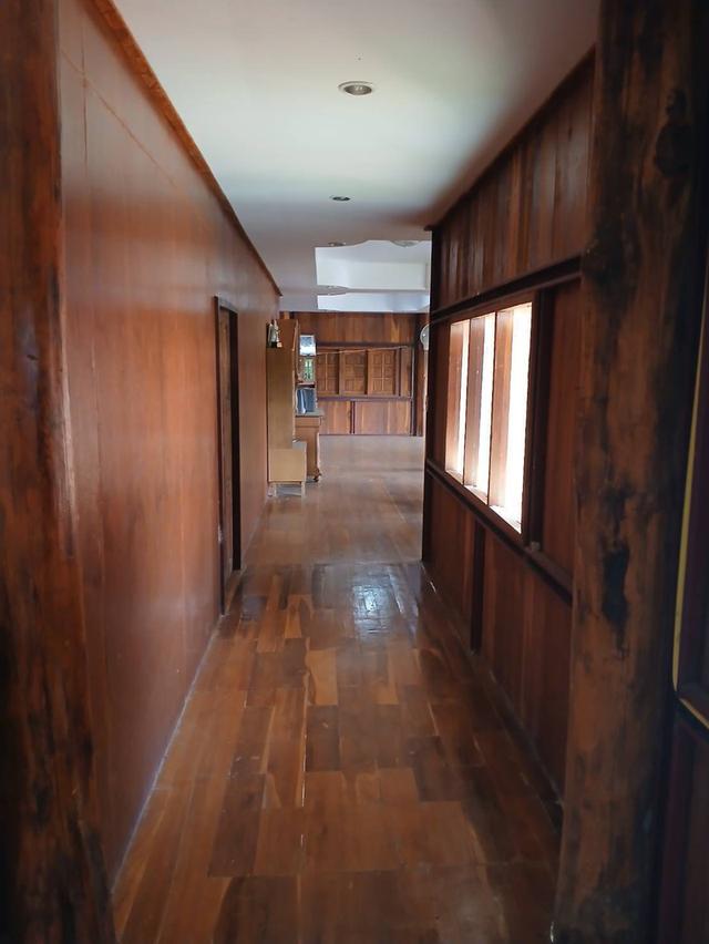 ขายที่ดินพร้อมบ้านและสวนลำไย 14 ไร่ ทำเลดีมาก อ.เมือง จ.ลำพุน 10