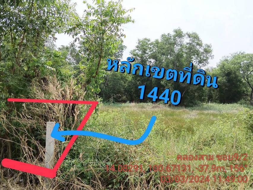 ‼️ขายที่ดินเปล่าถูกมากๆ คลองหลวง ซอยคลอง 3 9/2 9