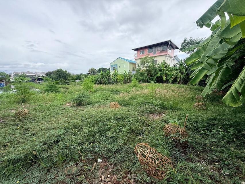 ขายด่วนที่ดิน 350 ตรว ติดถนนคอนกรีต ซ.จตุโชคชัย 3/4 บางพลี สมุทรปราการ 12